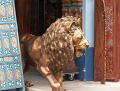 Lion Little India